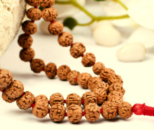 Five Mukhi Rudraksha