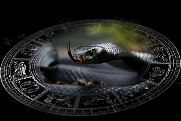 जन्म कुंडली में राहु और केतु