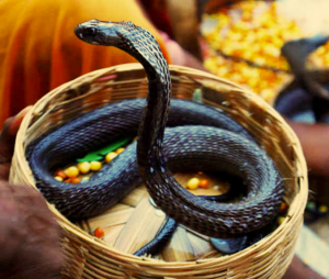 Naag Panchmi