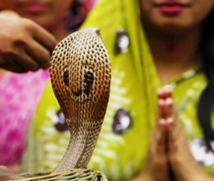 Naag Panchmi