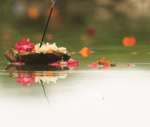 Ashwin Amavasya Puja