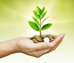 Plant for good wealth and health