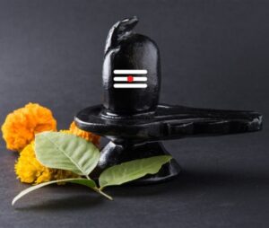 Shivling ki puja