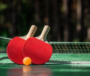 Gemini should play table tennis