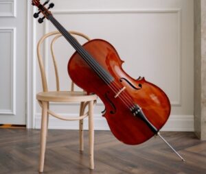 violin