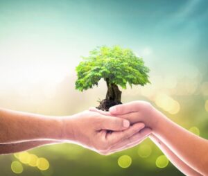 best jobs for Cancer