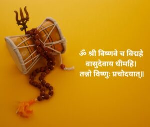 Vishnu Mrutyunjaya Mantra
