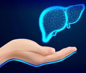 Liver related to astrology