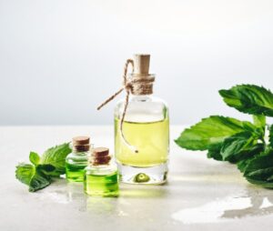 peppermint essential oil