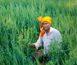 Farmer With Crop