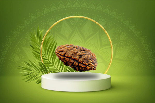 Do Mukhi Rudraksha