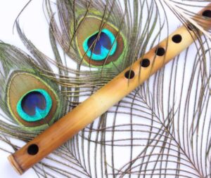 Peacock Feather And Flute