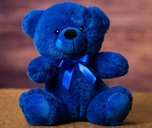 Blue Teddy
