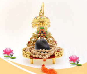 Shaligram Shila Ki Staphna