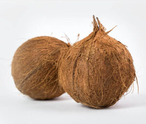 Coconut