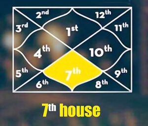 Kundli In Seventh House
