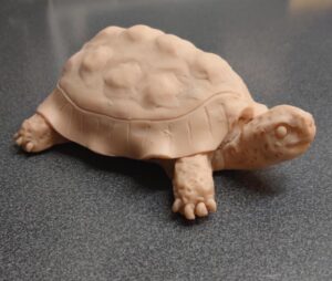 Mitti Se bana Kachua