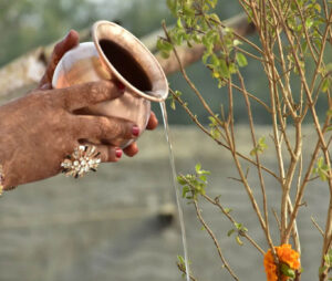 Tulsi me pani chadhana