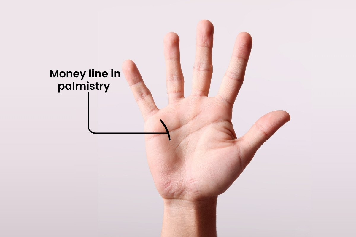 Money Line in your Palm