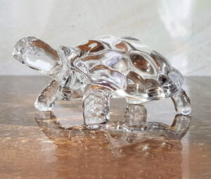 Crystal Tortoise 