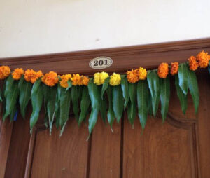 Dev Uthani Ekadashi Significance 