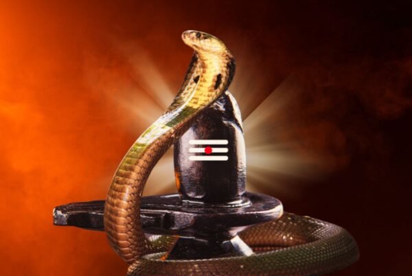 Nag Panchami 2024: Meaning, Significance and Rituals!