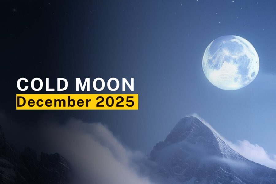 Cold Moon December 2026: What It Means For Your Zodiac